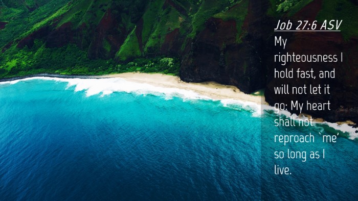 Picture 04 - Job 27:6 ASV Desktop Wallpaper - My righteousness I hold fast, and will not let it - Desktop Bible Verse Wallpaper