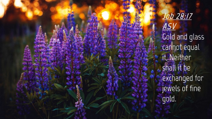 Picture 04 - Job 28:17 ASV Desktop Wallpaper - Gold and glass cannot equal it, Neither shall it - Desktop Bible Verse Wallpaper