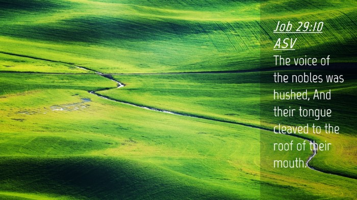 Picture 04 - Job 29:10 ASV Desktop Wallpaper - The voice of the nobles was hushed, And their - Desktop Bible Verse Wallpaper