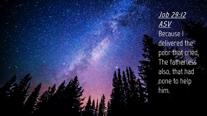 Picture 04 - Job 29:12 ASV Desktop Wallpaper - Because I delivered the poor that cried, The - Desktop Bible Verse Wallpaper