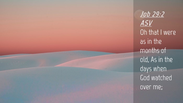 Picture 04 - Job 29:2 ASV Desktop Wallpaper - Oh that I were as in the months of old, As in the - Desktop Bible Verse Wallpaper