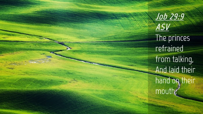 Picture 04 - Job 29:9 ASV Desktop Wallpaper - The princes refrained from talking, And laid - Desktop Bible Verse Wallpaper