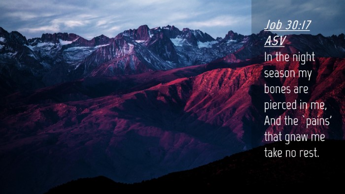 Picture 04 - Job 30:17 ASV Desktop Wallpaper - In the night season my bones are pierced in me, - Desktop Bible Verse Wallpaper
