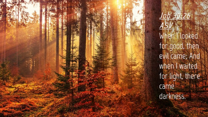 Picture 04 - Job 30:26 ASV Desktop Wallpaper - When I looked for good, then evil came; And when - Desktop Bible Verse Wallpaper