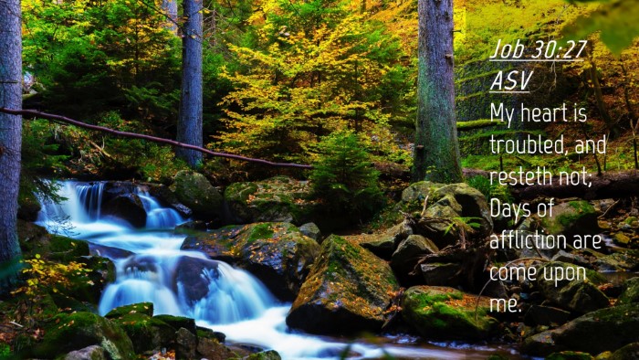Picture 04 - Job 30:27 ASV Desktop Wallpaper - My heart is troubled, and resteth not; Days of - Desktop Bible Verse Wallpaper