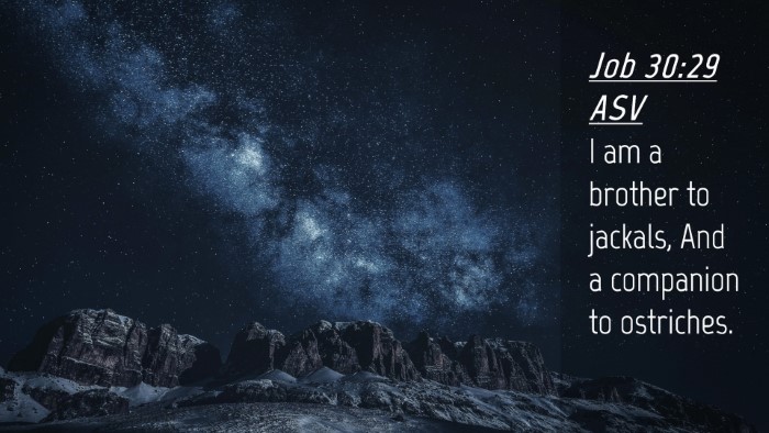 Picture 04 - Job 30:29 ASV Desktop Wallpaper - I am a brother to jackals, And a companion to - Desktop Bible Verse Wallpaper