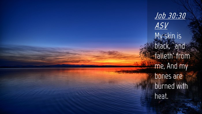 Picture 04 - Job 30:30 ASV Desktop Wallpaper - My skin is black, `and falleth' from me, And my - Desktop Bible Verse Wallpaper