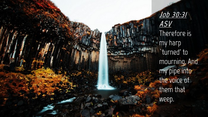 Picture 04 - Job 30:31 ASV Desktop Wallpaper - Therefore is my harp `turned' to mourning, And my - Desktop Bible Verse Wallpaper