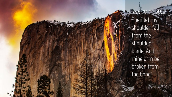 Picture 04 - Job 31:22 ASV Desktop Wallpaper - Then let my shoulder fall from the - Desktop Bible Verse Wallpaper
