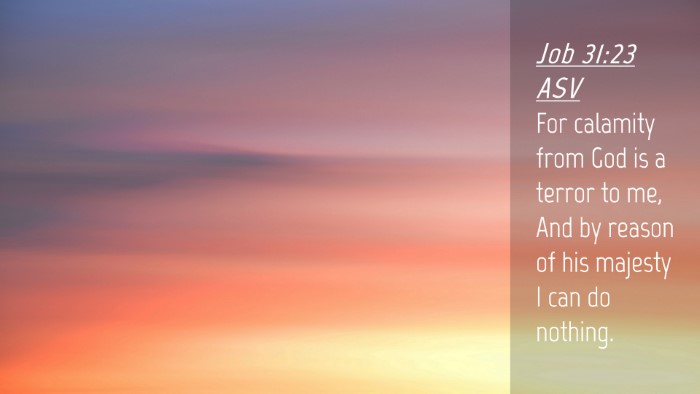 Picture 04 - Job 31:23 ASV Desktop Wallpaper - For calamity from God is a terror to me, And by - Desktop Bible Verse Wallpaper