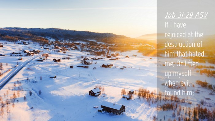 Picture 04 - Job 31:29 ASV Desktop Wallpaper - If I have rejoiced at the destruction of him that - Desktop Bible Verse Wallpaper