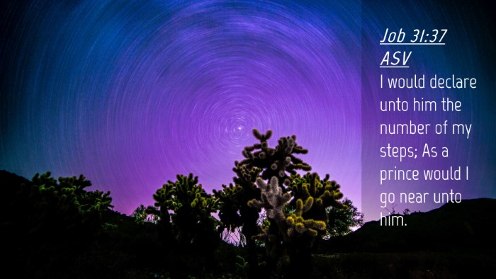 Picture 04 - Job 31:37 ASV Desktop Wallpaper - I would declare unto him the number of my steps; - Desktop Bible Verse Wallpaper