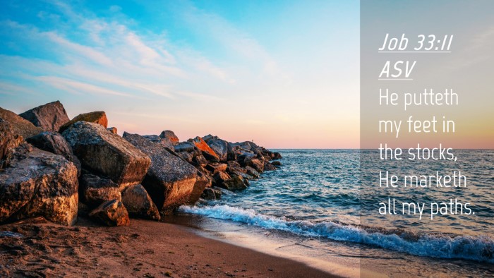Picture 04 - Job 33:11 ASV Desktop Wallpaper - He putteth my feet in the stocks, He marketh all - Desktop Bible Verse Wallpaper