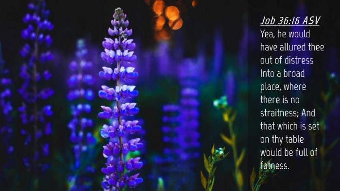 Picture 04 - Job 36:16 ASV Desktop Wallpaper - Yea, he would have allured thee out of distress - Desktop Bible Verse Wallpaper