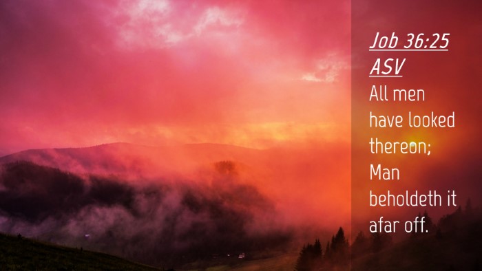 Picture 04 - Job 36:25 ASV Desktop Wallpaper - All men have looked thereon; Man beholdeth it - Desktop Bible Verse Wallpaper