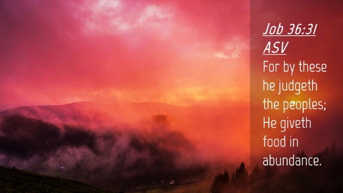 Picture 04 - Job 36:31 ASV Desktop Wallpaper - For by these he judgeth the peoples; He giveth - Desktop Bible Verse Wallpaper