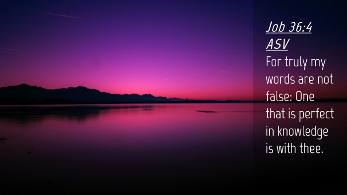 Picture 04 - Job 36:4 ASV Desktop Wallpaper - For truly my words are not false: One that is - Desktop Bible Verse Wallpaper