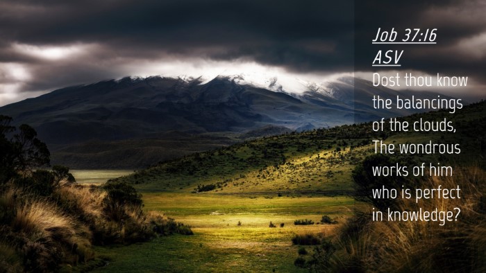 Picture 04 - Job 37:16 ASV Desktop Wallpaper - Dost thou know the balancings of the clouds, The - Desktop Bible Verse Wallpaper