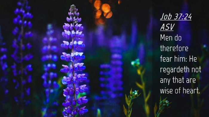 Picture 04 - Job 37:24 ASV Desktop Wallpaper - Men do therefore fear him: He regardeth not any - Desktop Bible Verse Wallpaper