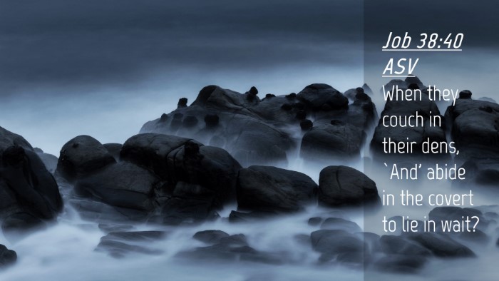 Picture 04 - Job 38:40 ASV Desktop Wallpaper - When they couch in their dens, `And' abide in the - Desktop Bible Verse Wallpaper