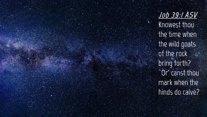 Picture 04 - Job 39:1 ASV Desktop Wallpaper - Knowest thou the time when the wild goats of the - Desktop Bible Verse Wallpaper