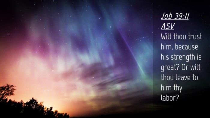 Picture 04 - Job 39:11 ASV Desktop Wallpaper - Wilt thou trust him, because his strength is - Desktop Bible Verse Wallpaper