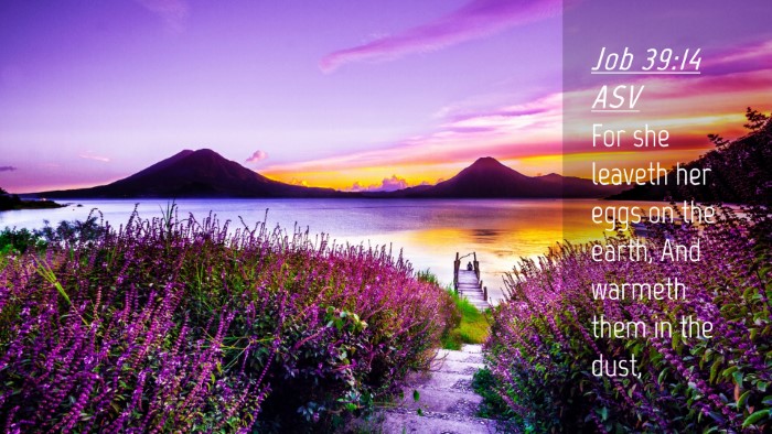 Picture 04 - Job 39:14 ASV Desktop Wallpaper - For she leaveth her eggs on the earth, And - Desktop Bible Verse Wallpaper