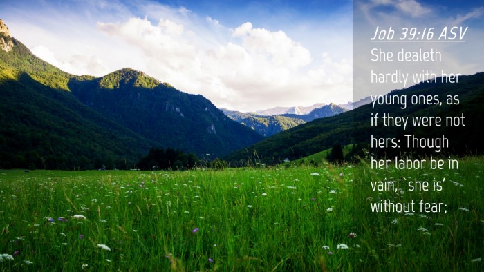 Picture 04 - Job 39:16 ASV Desktop Wallpaper - She dealeth hardly with her young ones, as if - Desktop Bible Verse Wallpaper