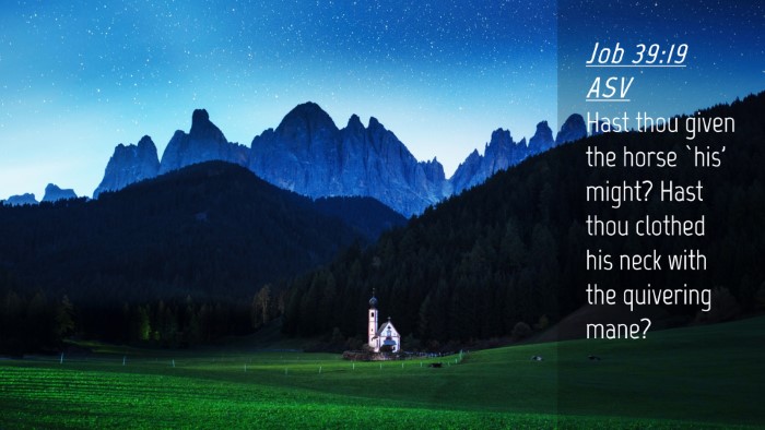 Picture 04 - Job 39:19 ASV Desktop Wallpaper - Hast thou given the horse `his' might? Hast thou - Desktop Bible Verse Wallpaper