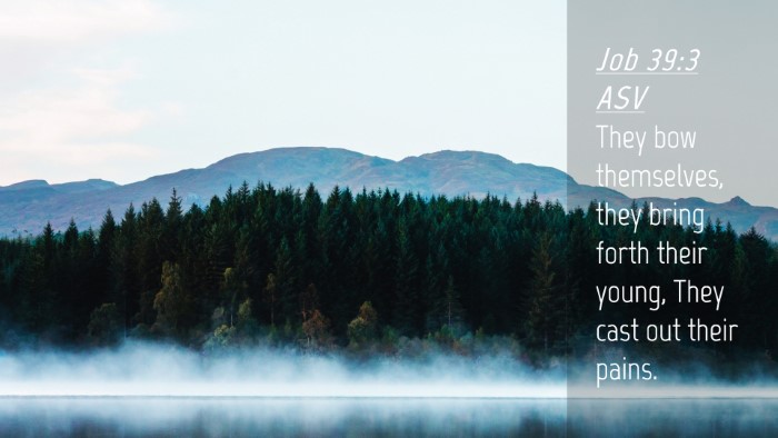 Picture 04 - Job 39:3 ASV Desktop Wallpaper - They bow themselves, they bring forth their - Desktop Bible Verse Wallpaper