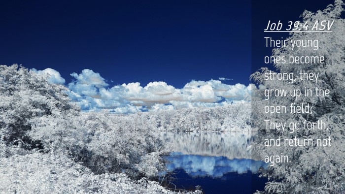 Picture 04 - Job 39:4 ASV Desktop Wallpaper - Their young ones become strong, they grow up in - Desktop Bible Verse Wallpaper