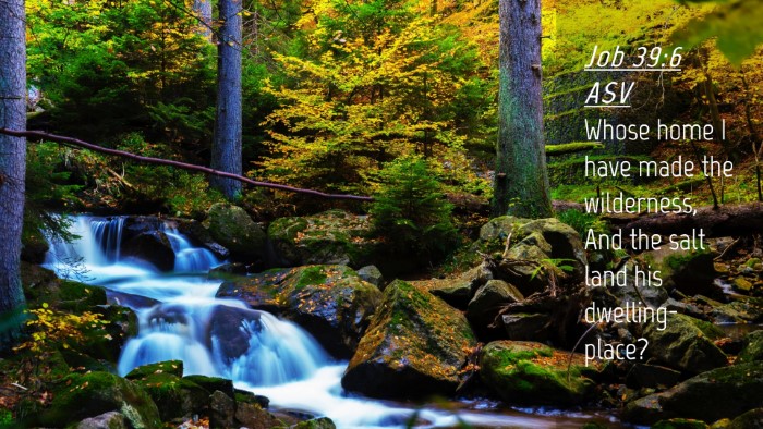 Picture 04 - Job 39:6 ASV Desktop Wallpaper - Whose home I have made the wilderness, And the - Desktop Bible Verse Wallpaper
