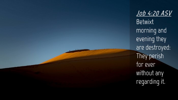 Picture 04 - Job 4:20 ASV Desktop Wallpaper - Betwixt morning and evening they are destroyed: - Desktop Bible Verse Wallpaper