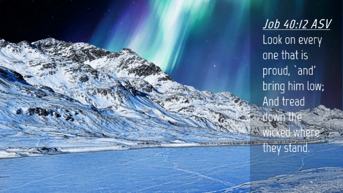 Picture 04 - Job 40:12 ASV Desktop Wallpaper - Look on every one that is proud, `and' bring him - Desktop Bible Verse Wallpaper