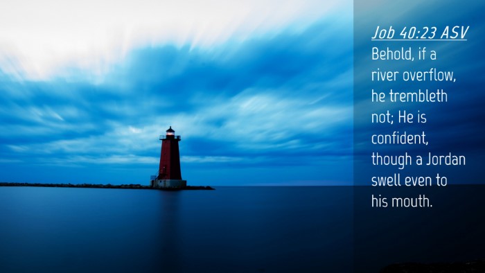 Picture 04 - Job 40:23 ASV Desktop Wallpaper - Behold, if a river overflow, he trembleth not; He - Desktop Bible Verse Wallpaper