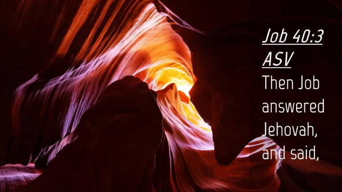 Picture 04 - Job 40:3 ASV Desktop Wallpaper - Then Job answered Jehovah, and - Desktop Bible Verse Wallpaper