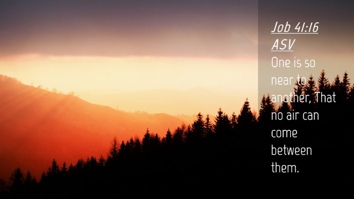 Picture 04 - Job 41:16 ASV Desktop Wallpaper - One is so near to another, That no air can come - Desktop Bible Verse Wallpaper