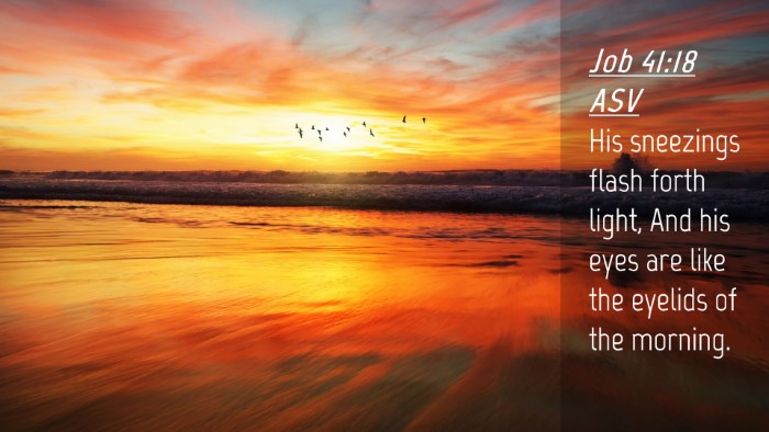 Picture 04 - Job 41:18 ASV Desktop Wallpaper - His sneezings flash forth light, And his eyes are - Desktop Bible Verse Wallpaper