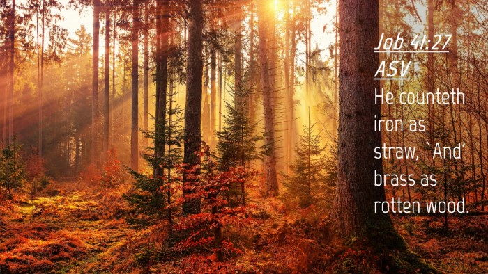Picture 04 - Job 41:27 ASV Desktop Wallpaper - He counteth iron as straw, `And' brass as rotten - Desktop Bible Verse Wallpaper