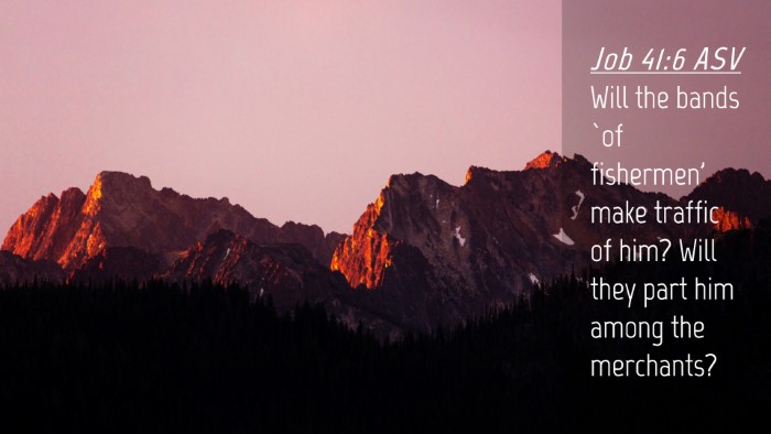 Picture 04 - Job 41:6 ASV Desktop Wallpaper - Will the bands `of fishermen' make traffic of - Desktop Bible Verse Wallpaper