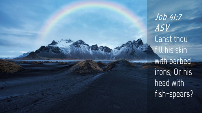 Picture 04 - Job 41:7 ASV Desktop Wallpaper - Canst thou fill his skin with barbed irons, Or - Desktop Bible Verse Wallpaper
