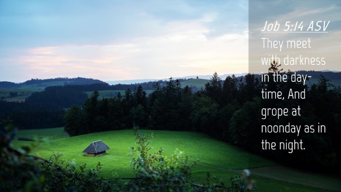 Picture 04 - Job 5:14 ASV Desktop Wallpaper - They meet with darkness in the day-time, And - Desktop Bible Verse Wallpaper