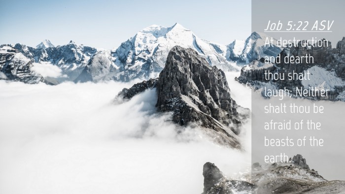 Picture 04 - Job 5:22 ASV Desktop Wallpaper - At destruction and dearth thou shalt laugh; - Desktop Bible Verse Wallpaper