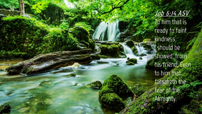 Picture 04 - Job 6:14 ASV Desktop Wallpaper - To him that is ready to faint kindness `should be - Desktop Bible Verse Wallpaper