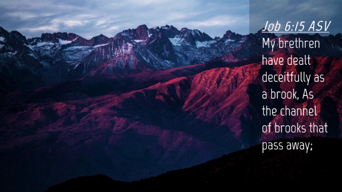 Picture 04 - Job 6:15 ASV Desktop Wallpaper - My brethren have dealt deceitfully as a brook, As - Desktop Bible Verse Wallpaper