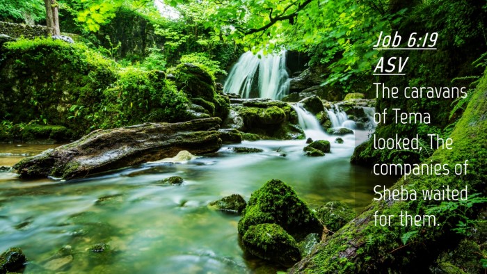 Picture 04 - Job 6:19 ASV Desktop Wallpaper - The caravans of Tema looked, The companies of - Desktop Bible Verse Wallpaper