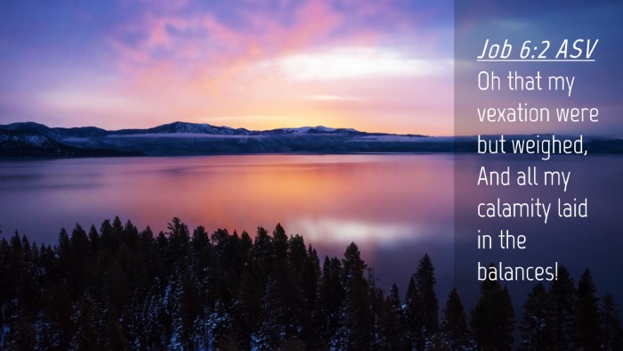 Picture 04 - Job 6:2 ASV Desktop Wallpaper - Oh that my vexation were but weighed, And all my - Desktop Bible Verse Wallpaper