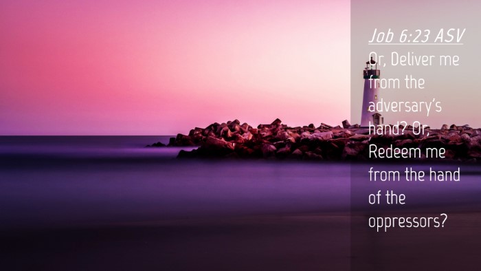 Picture 04 - Job 6:23 ASV Desktop Wallpaper - Or, Deliver me from the adversary's hand? Or, - Desktop Bible Verse Wallpaper