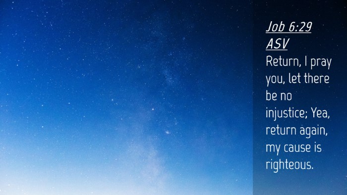 Picture 04 - Job 6:29 ASV Desktop Wallpaper - Return, I pray you, let there be no injustice; - Desktop Bible Verse Wallpaper