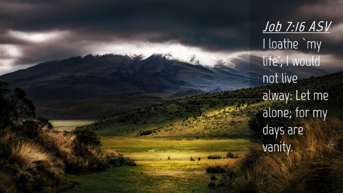 Picture 04 - Job 7:16 ASV Desktop Wallpaper - I loathe `my life'; I would not live alway: Let - Desktop Bible Verse Wallpaper